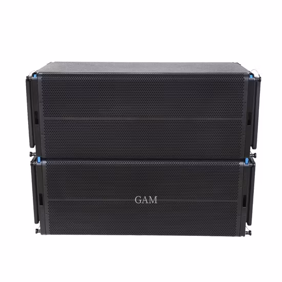 Altavoz de matriz lineal de equipo de sonido profesional de 800 vatios, subwoofer de 2 x 10 pulgadas, altavoz pasivo con gabinete de madera