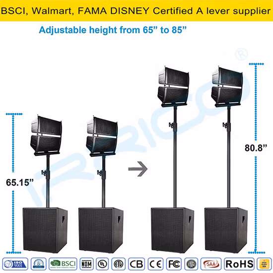 Subwoofer de 6000 W y 2 altavoces de 18