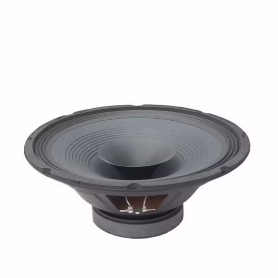 Subwoofer de altavoz de 12 pulgadas