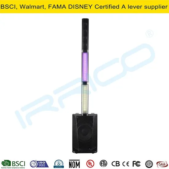 High Power Professional Audio 2000W 2*12