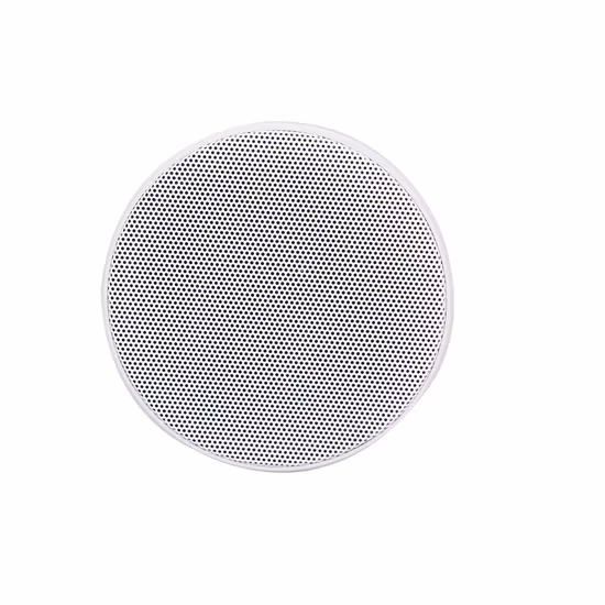 Altavoz de techo Lucky Tone Super Mini de 2,5 pulgadas, ABS, rango completo, 8 W, montaje rápido, de plástico, con transformador de línea de 100 V