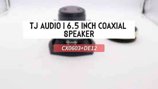 Altavoz coaxial de 6,5 pulgadas y 600 W de rango completo para sistema de monitorización de escenario de estudio de audio.