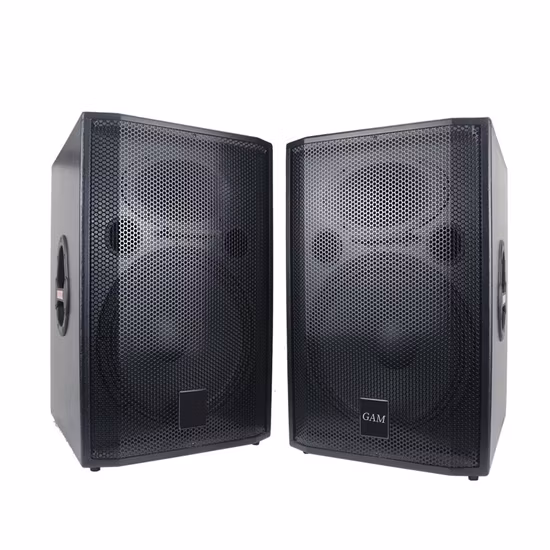 Altavoz pasivo de 15 pulgadas, caja de madera, subwoofer de 1000 vatios, sistema PA de escenario 2.0, superventas