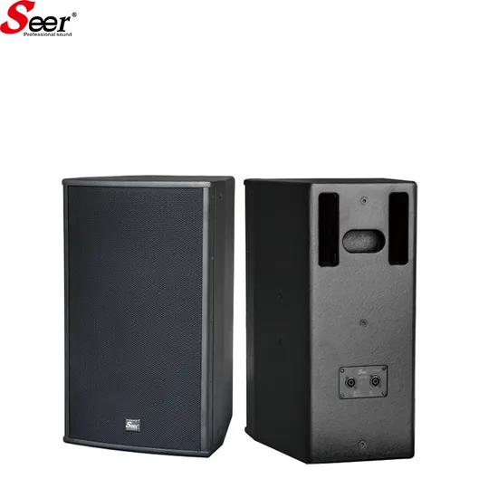 Sistema PA de sonido de matriz de línea activa con altavoces KTV de karaoke de audio profesional