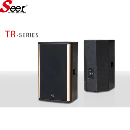 Sistema de altavoces profesional de 10 pulgadas Audio Active Line Array No Hi