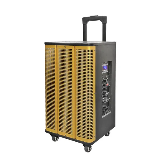 Powered Speakers Full Range Eritrean Music Equipo De Sonido Grande