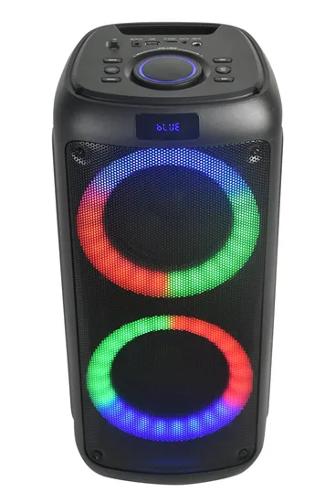 Altavoz de fiesta con radio FM y Bluetooth de rango completo de 6,5 pulgadas