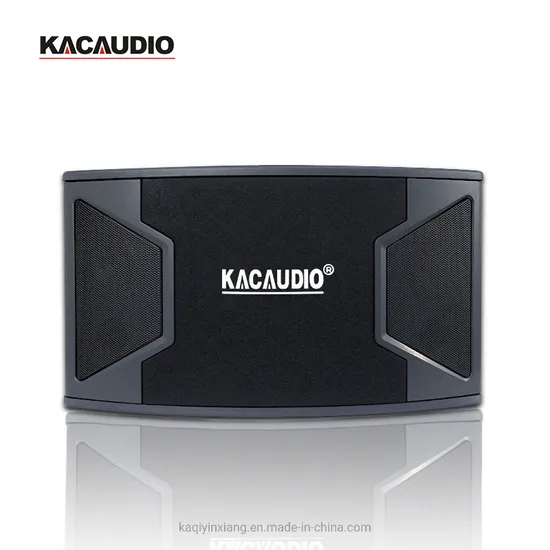 Altavoces de karaoke de 450 W, bidireccionales y de rango completo para KTV