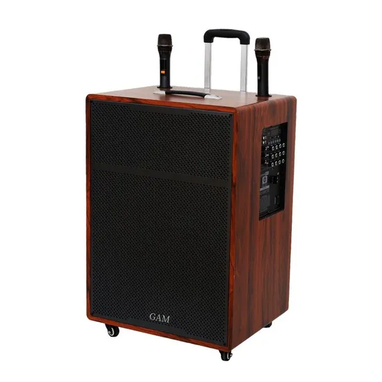 Serie de suministro de fábrica de subwoofer de 8/10/12/15/18 pulgadas, altavoz activo con carrito de audio de gran potencia con caja de madera