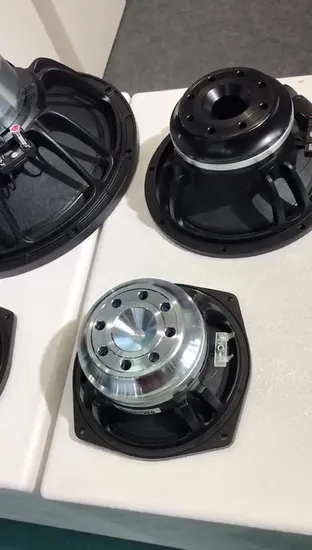 Altavoz profesional Falante de 10 pulgadas con cono estadounidense de rango completo y alto volumen
