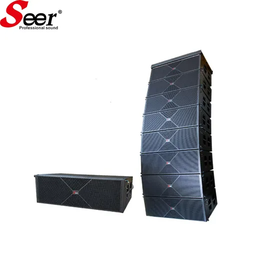 Sistema PA de altavoces de 12 pulgadas PRO Audio Active Line Array Big Concert