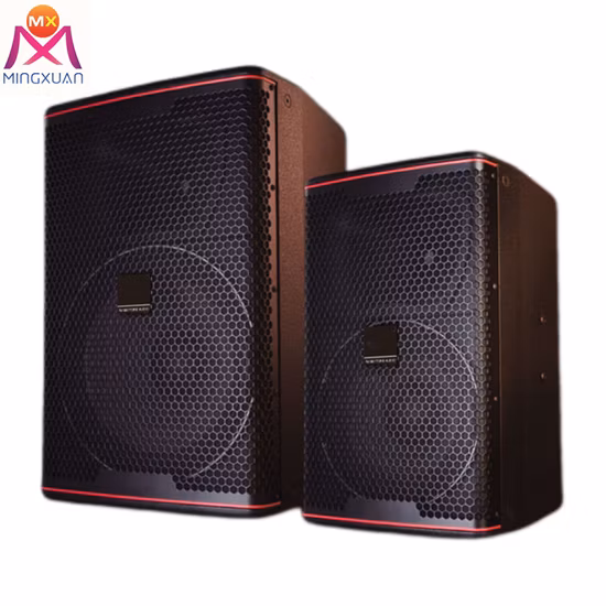 Audio pasivo de 12 pulgadas 2