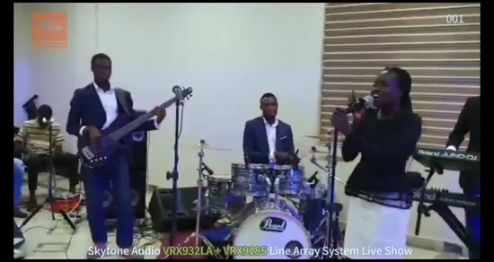 Altavoz subwoofer pasivo de matriz lineal Vrx918s de 18