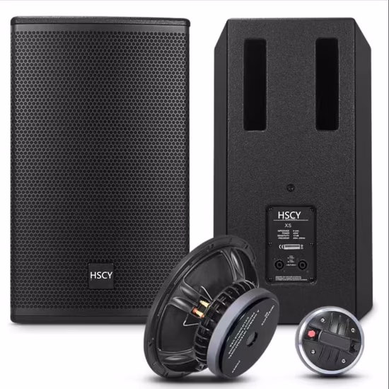 Altavoz estéreo de rango completo de 250 vatios y 10 pulgadas para montaje en pared, para uso público, para interiores, para aeropuertos, departamentos e iglesias.