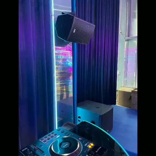 Altavoz subwoofer activo individual de 12