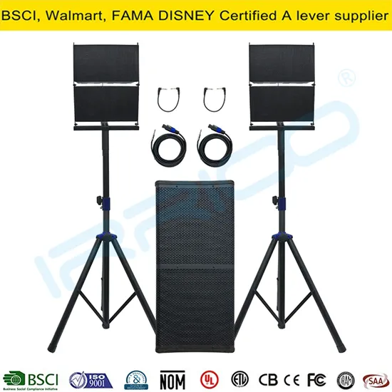 Sistema de altavoces de matriz lineal de audio profesional de alta potencia de 2000 W con subwoofer activo dual de 12 pulgadas y 2 bocinas de karaoke BT satélite.