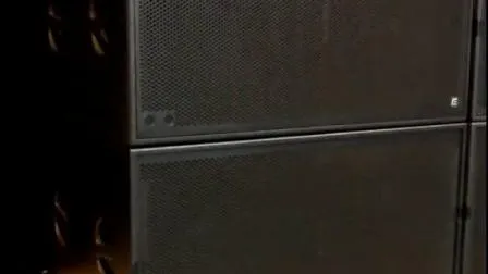 Subwoofer profesional de graves de 18 pulgadas con elementos DSP y altavoz activo Wa118SA19730