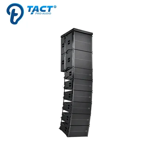 Altavoz profesional Tact Tq210 de doble matriz lineal pasiva de 10 pulgadas