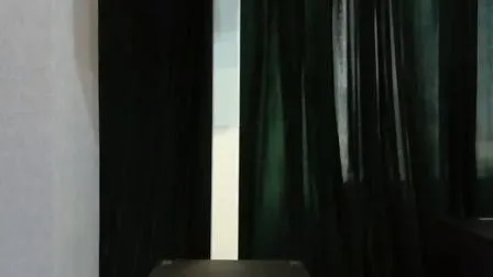 Altavoz potenciado PRO Audio Altavoz subwoofer activo