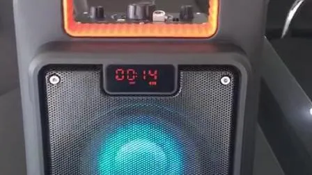 Altavoz inalámbrico Bluetooth de 6,5 pulgadas con función TWS, altavoz pequeño y privado para DJ.