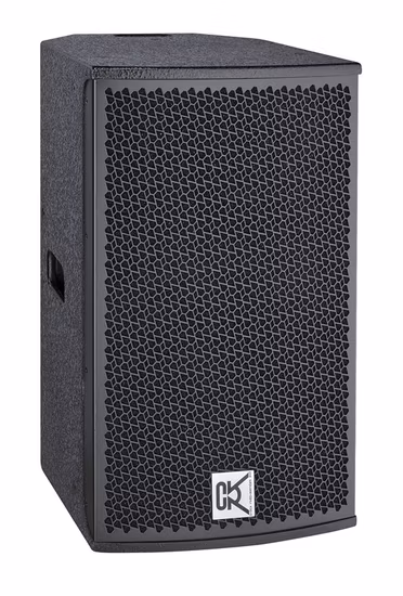 Sistema de altavoces de karaoke de 12 pulgadas y dos vías de rango completo CVR