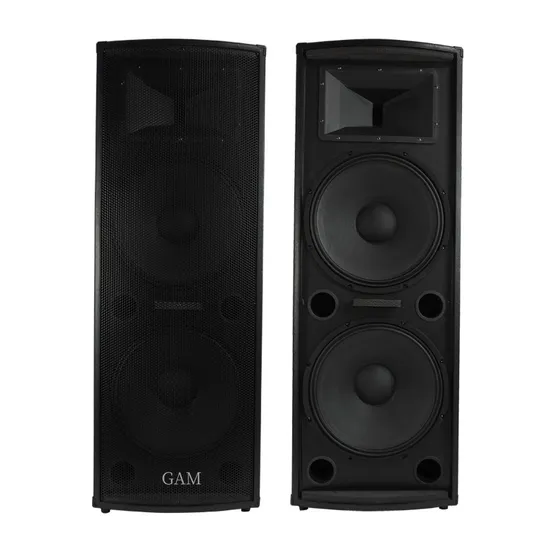 Altavoz pasivo activo económico de 600 vatios de pico con subwoofer doble de 15 pulgadas y sistema de sonido PA de madera.