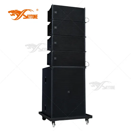 Sistema de matriz de línea activa doble Brx300 de 10 pulgadas. Audio profesional. Altavoz de matriz de línea doble de 10 pulgadas.